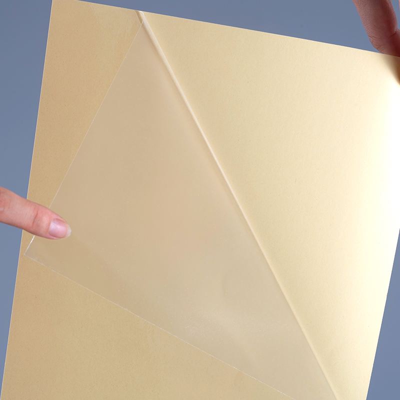 Filem Pelekat Diri Self -Telus Pelekat Vinil Pelekat Vinyl Label Jumbo Roll